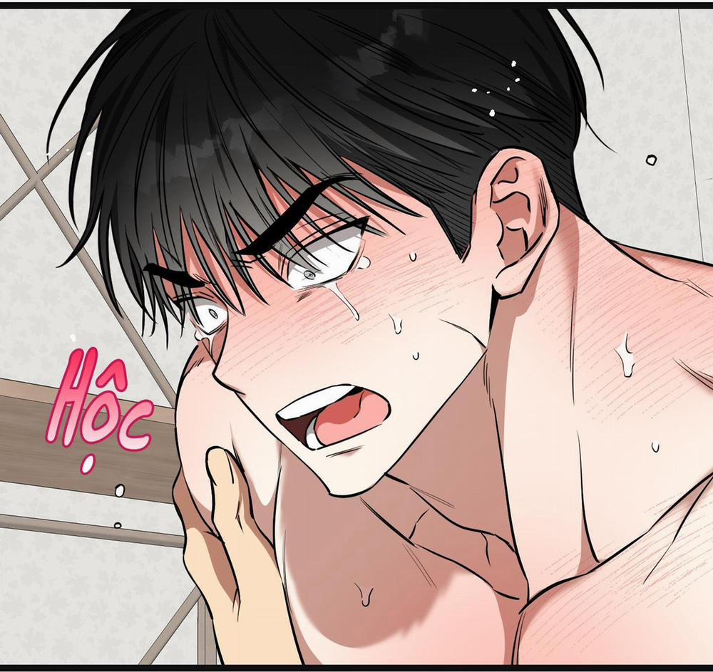 Tôn Kính Và Khát Khao 15 trang 56