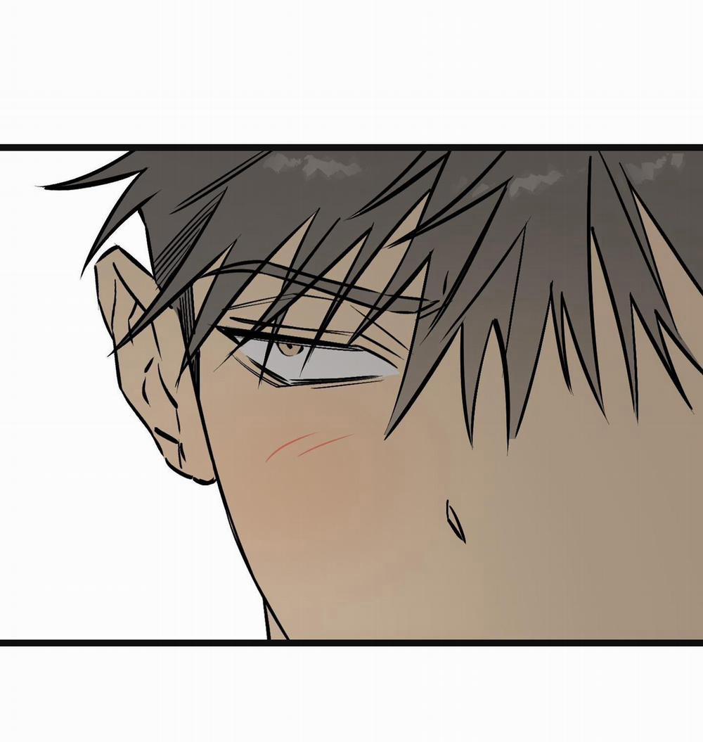 Tôn Kính Và Khát Khao 15 trang 71