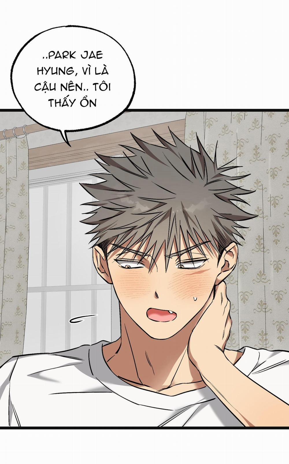 Tôn Kính Và Khát Khao 15 trang 75