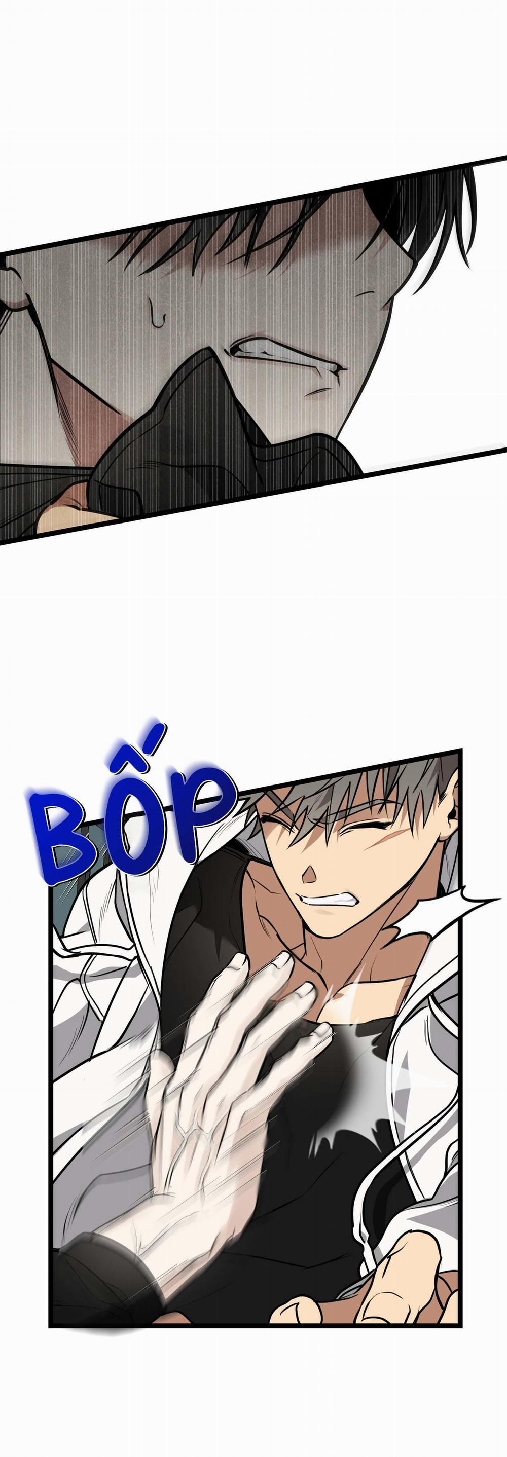 Tôn Kính Và Khát Khao 2 trang 4