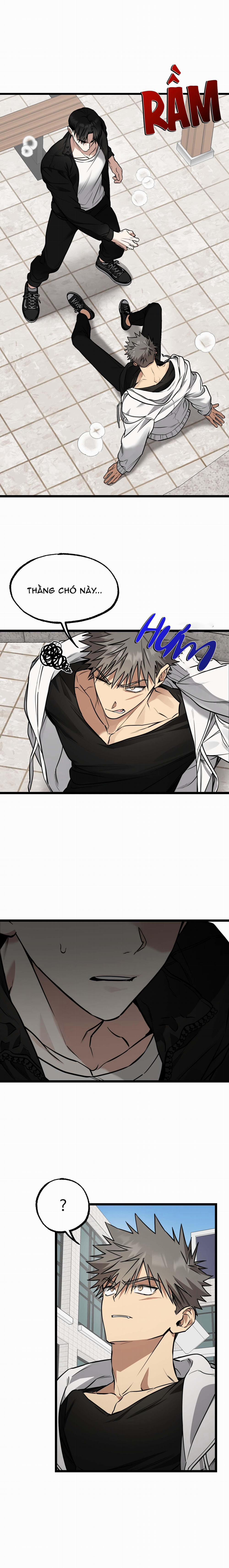 Tôn Kính Và Khát Khao 2 trang 5