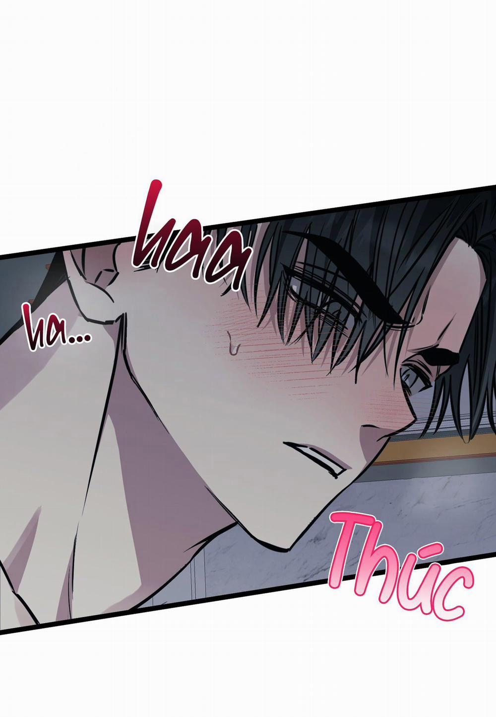 Tôn Kính Và Khát Khao 4 trang 10