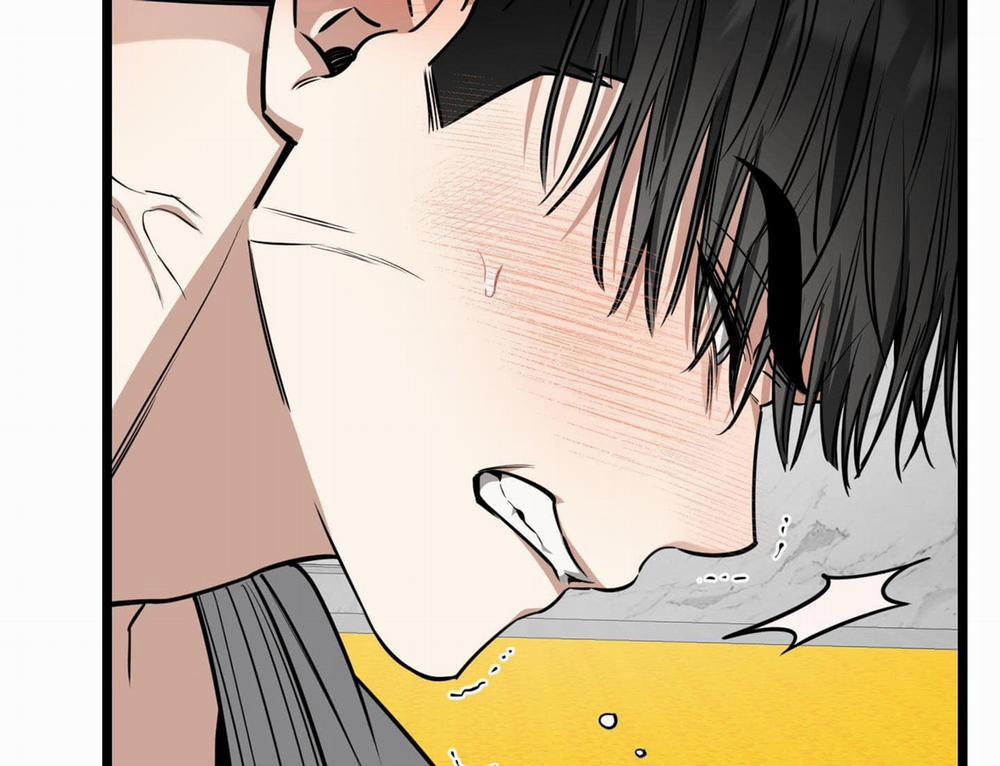 Tôn Kính Và Khát Khao 6 trang 12