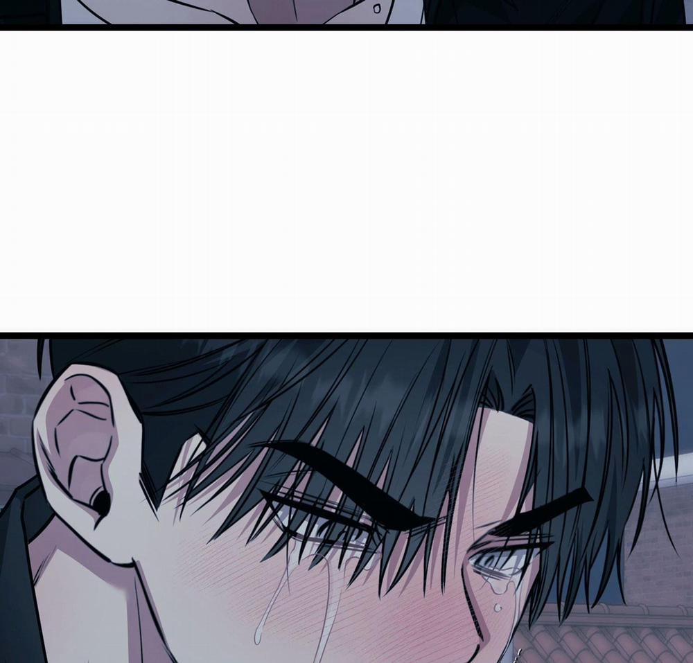 Tôn Kính Và Khát Khao 8 trang 41