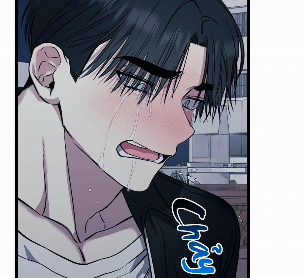 Tôn Kính Và Khát Khao 8 trang 50