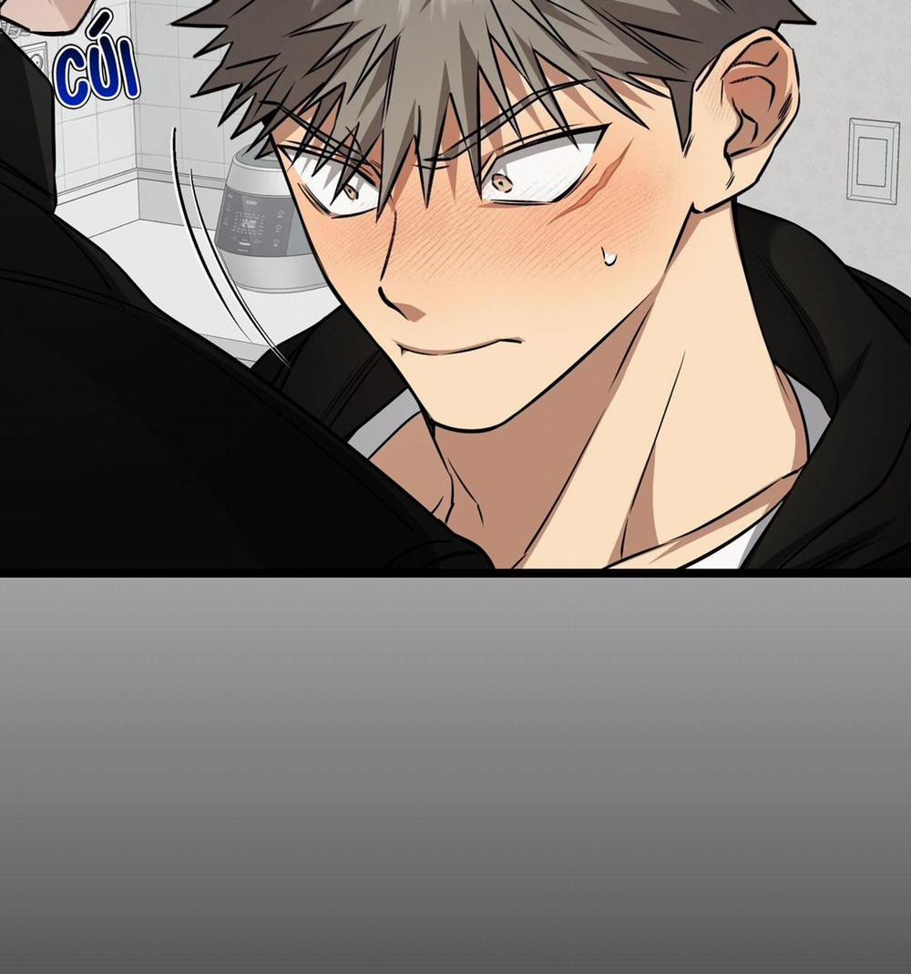 Tôn Kính Và Khát Khao 8 trang 75