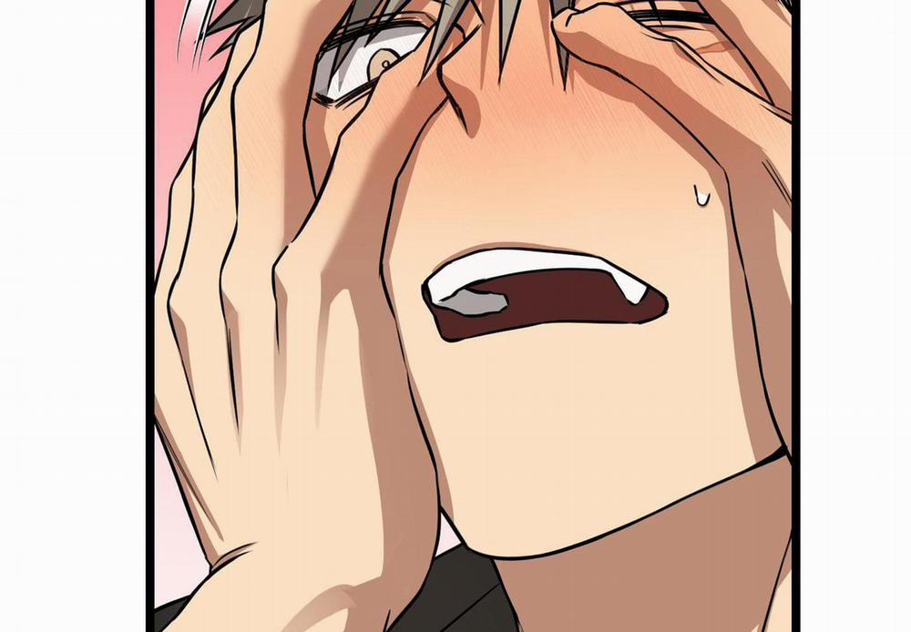 Tôn Kính Và Khát Khao 9 trang 15