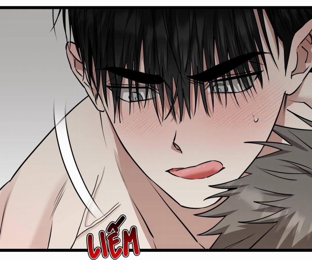 Tôn Kính Và Khát Khao 9 trang 98