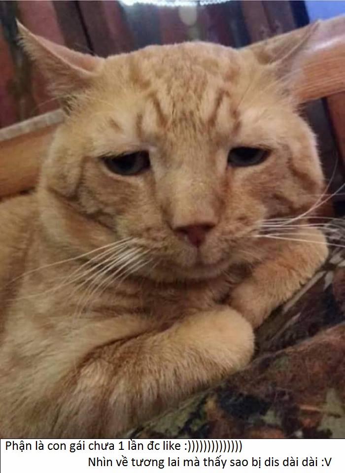 Tổng Hợp Hentai Disney 0 Mario chuyện chưa kể!! trang 66