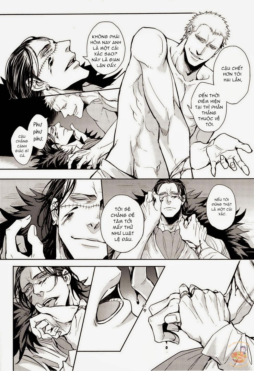 Tổng Hợp OnePiece Dj 35 trang 13