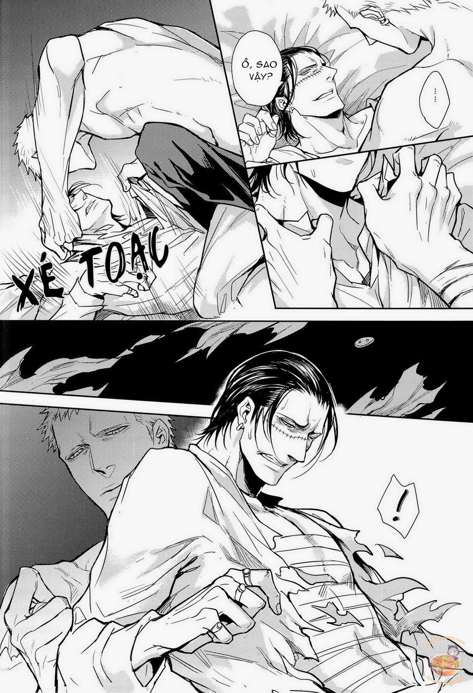 Tổng Hợp OnePiece Dj 35 trang 18