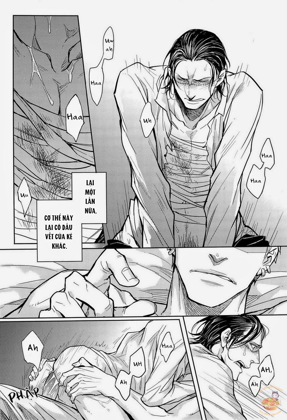 Tổng Hợp OnePiece Dj 35 trang 39