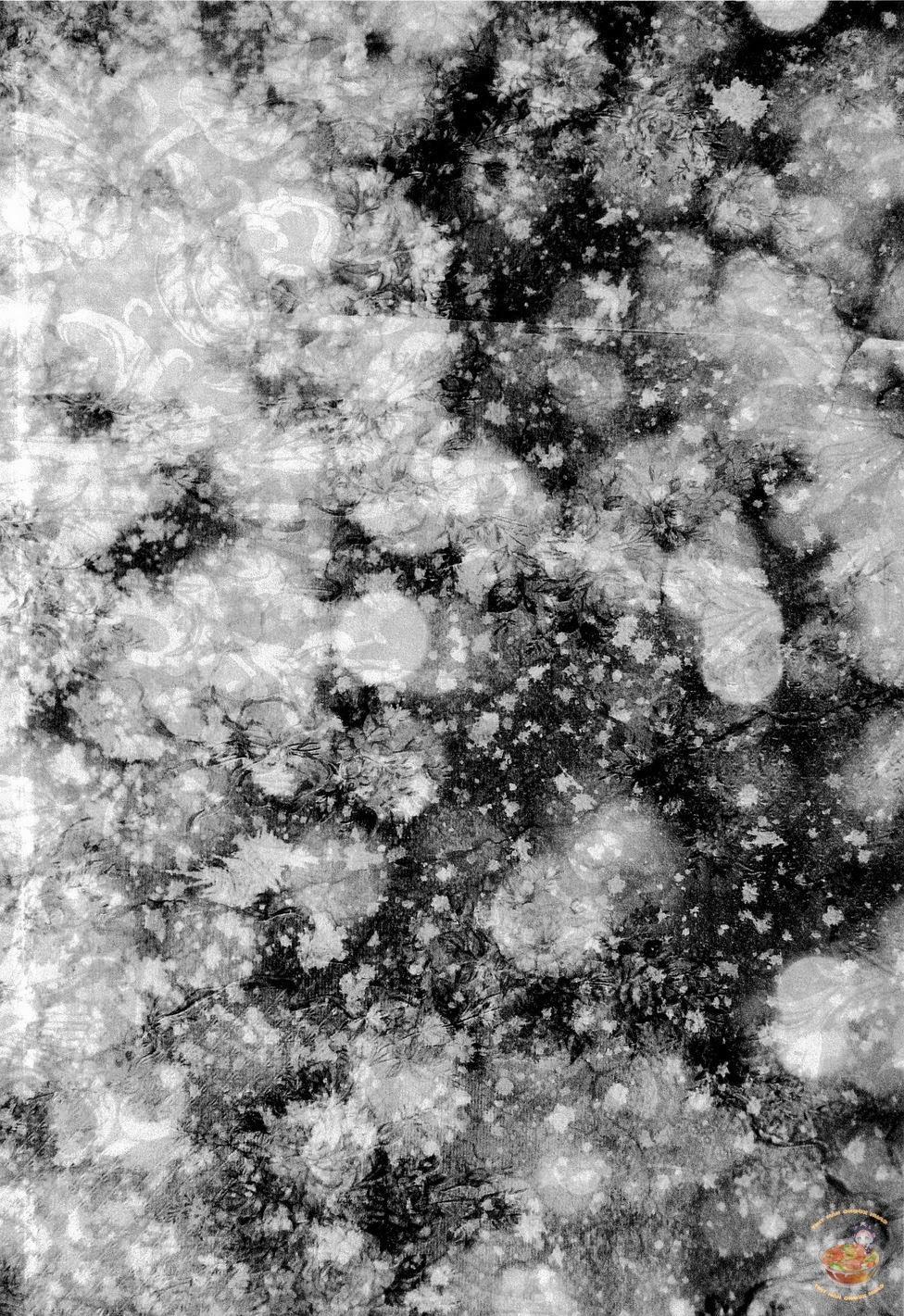 Tổng Hợp OnePiece Dj 35 trang 4