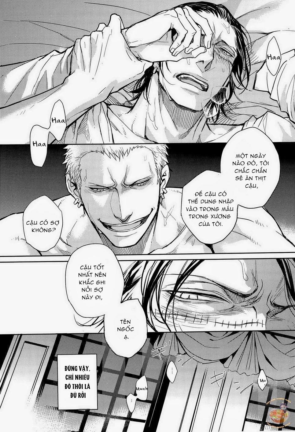 Tổng Hợp OnePiece Dj 35 trang 47