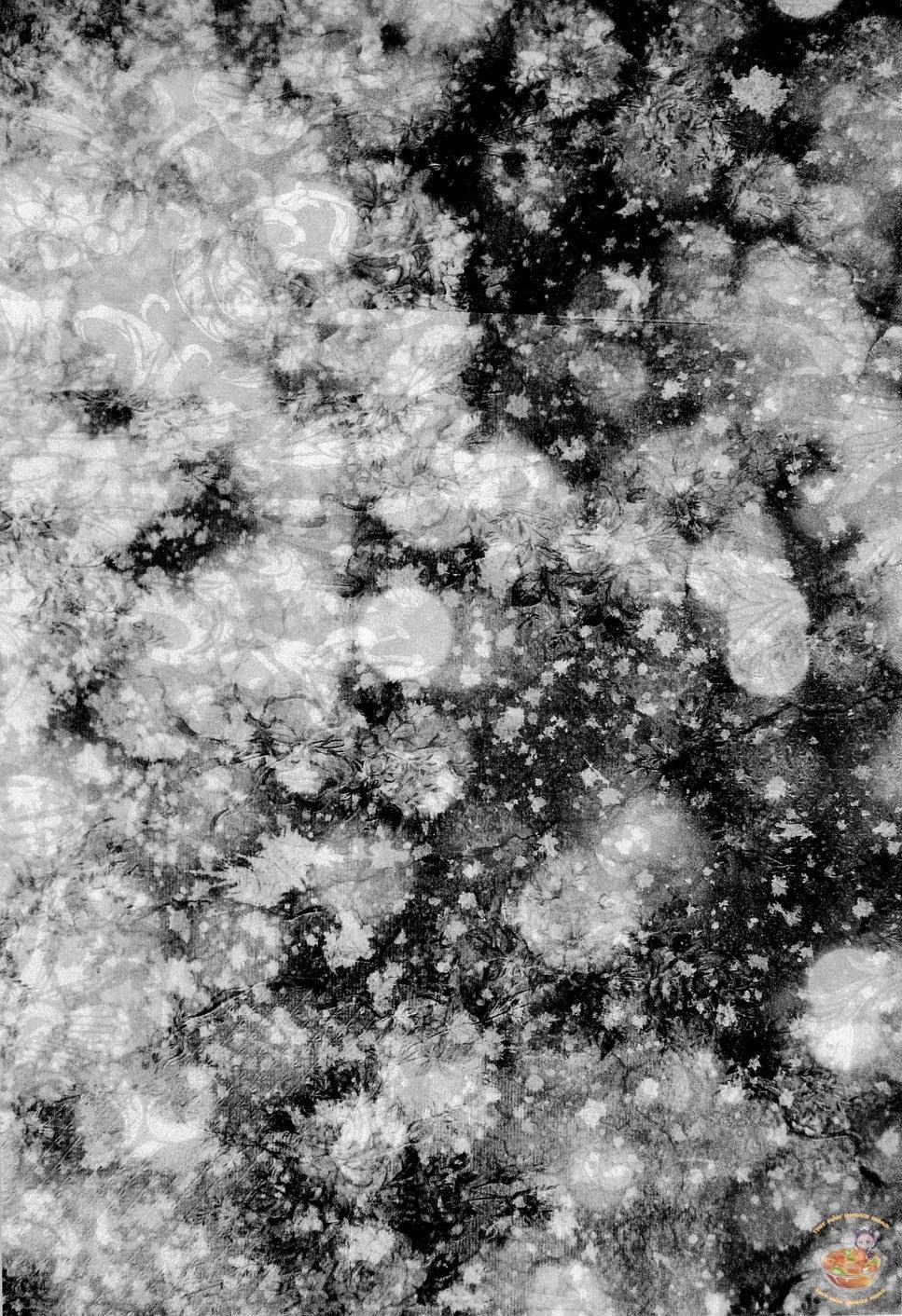 Tổng Hợp OnePiece Dj 35 trang 61