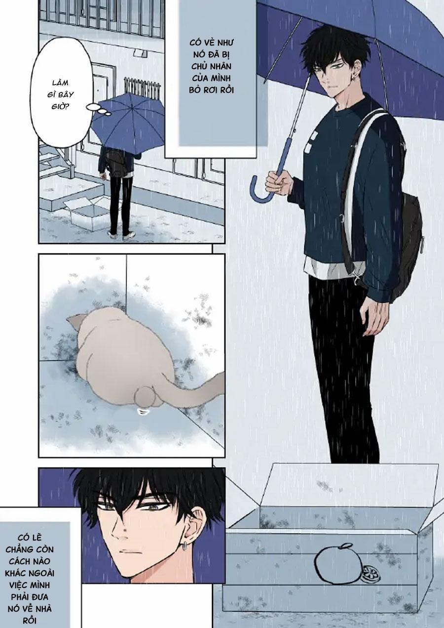 Tổng Hợp Oneshort Nhà Guess 64 trang 2