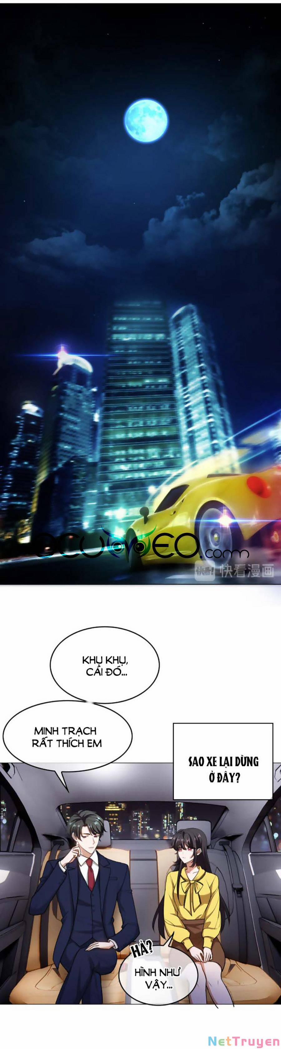 Tồng Tài Cứ Muốn Lấy Cô Vợ Gả Thay 55 trang 0