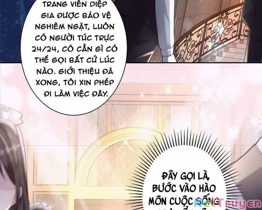 Tổng Tài Huyết Tộc Cực Sủng Cô Vợ Mỹ Nhân Ngư 11 trang 52
