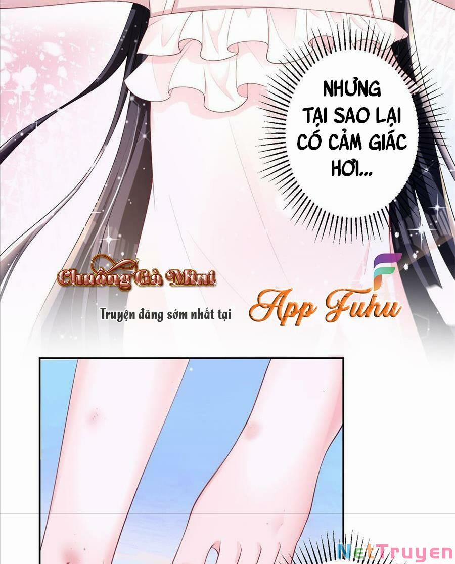 Tổng Tài Huyết Tộc Cực Sủng Cô Vợ Mỹ Nhân Ngư 13 trang 12