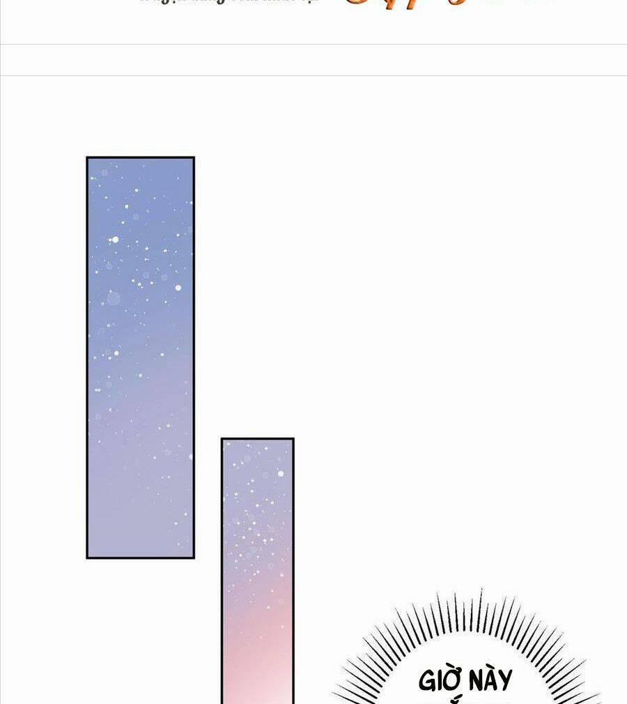 Tổng Tài Huyết Tộc Cực Sủng Cô Vợ Mỹ Nhân Ngư 17 trang 10