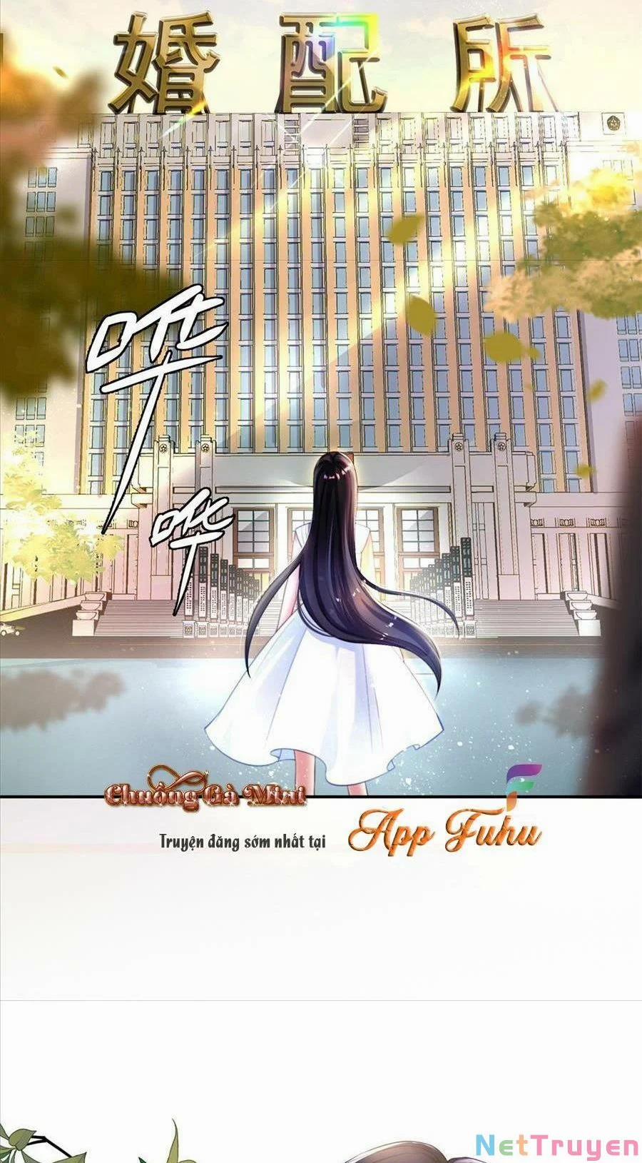 Tổng Tài Huyết Tộc Cực Sủng Cô Vợ Mỹ Nhân Ngư 3 trang 5