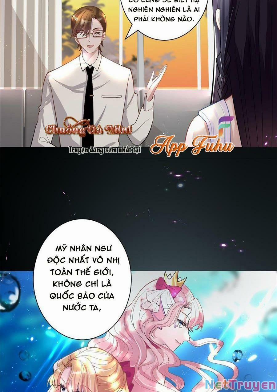 Tổng Tài Huyết Tộc Cực Sủng Cô Vợ Mỹ Nhân Ngư 5 trang 16