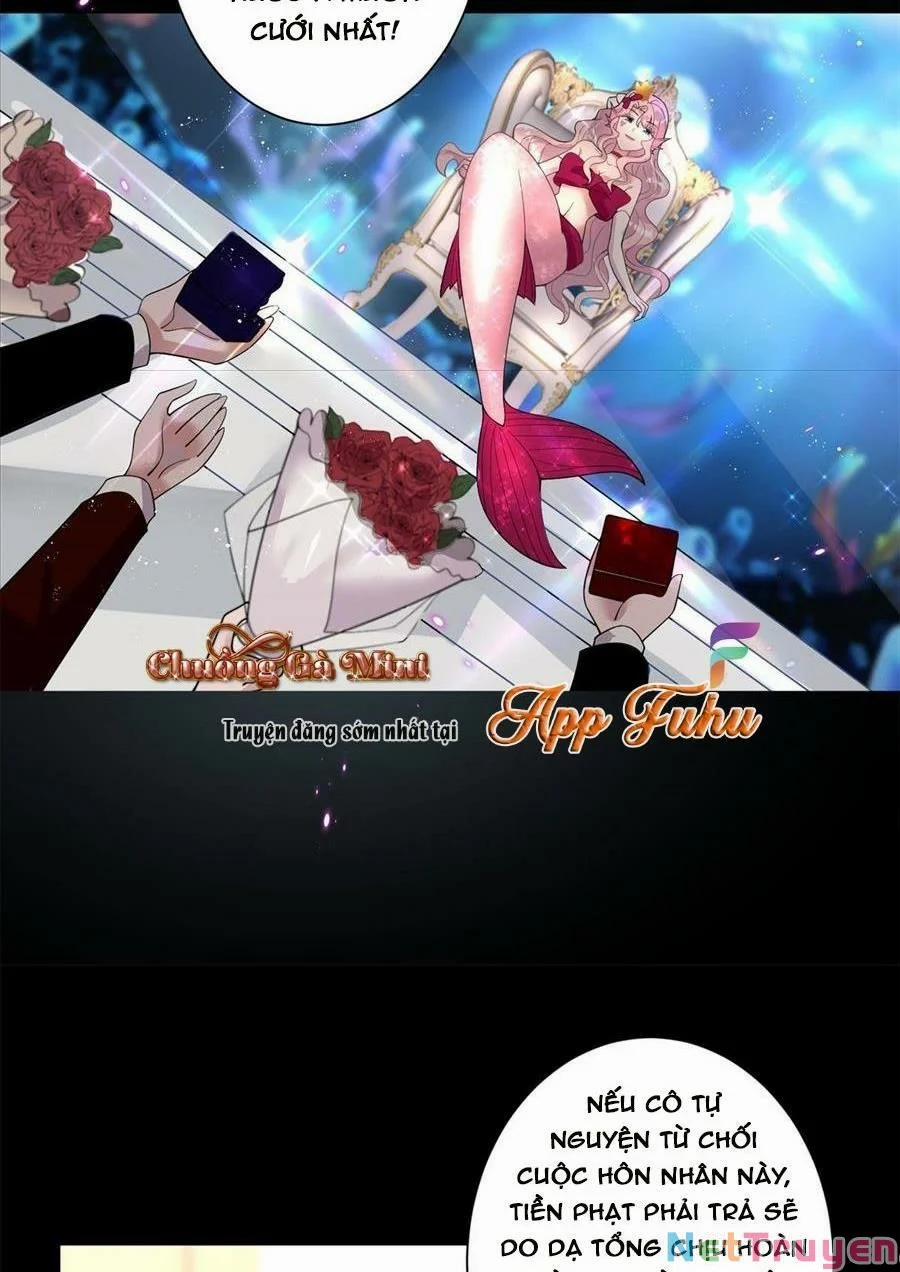 Tổng Tài Huyết Tộc Cực Sủng Cô Vợ Mỹ Nhân Ngư 5 trang 18