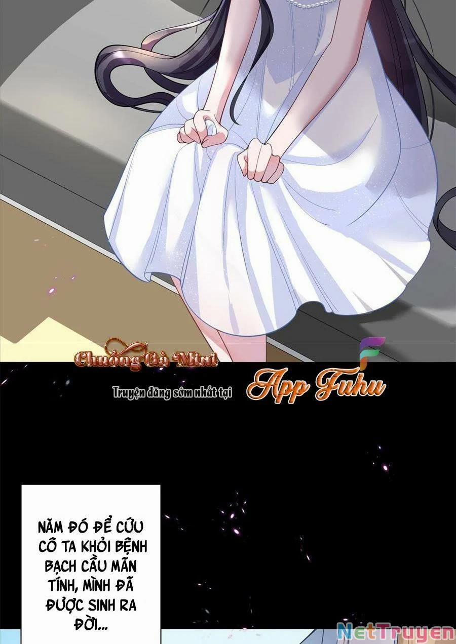 Tổng Tài Huyết Tộc Cực Sủng Cô Vợ Mỹ Nhân Ngư 5 trang 22