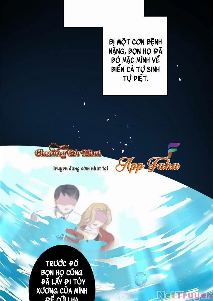 Tổng Tài Huyết Tộc Cực Sủng Cô Vợ Mỹ Nhân Ngư 5 trang 24