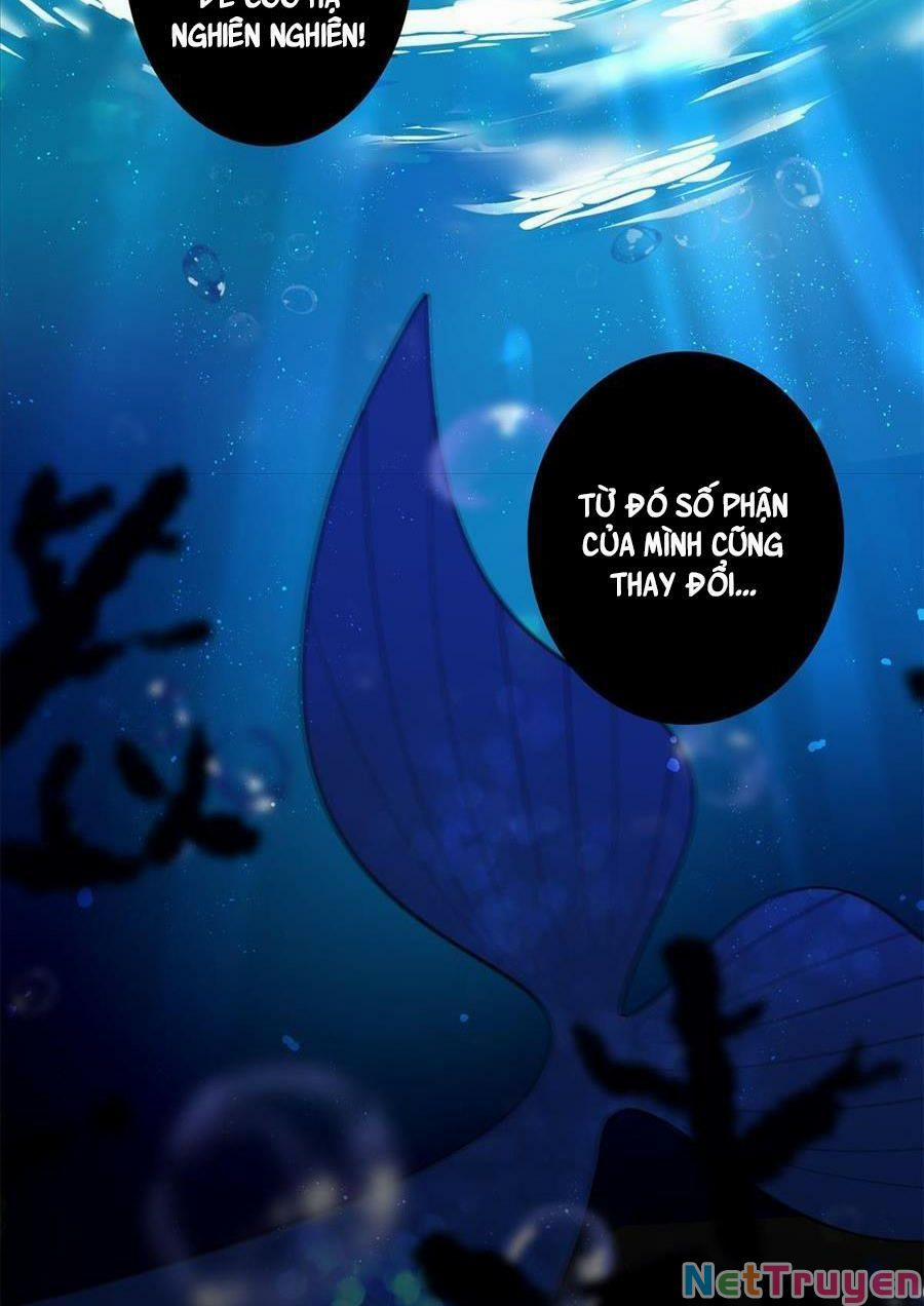 Tổng Tài Huyết Tộc Cực Sủng Cô Vợ Mỹ Nhân Ngư 5 trang 25
