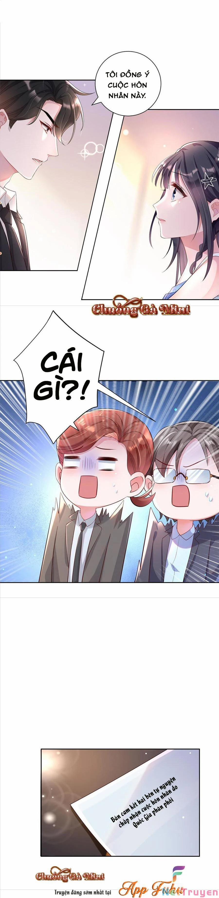 Tổng Tài Huyết Tộc Cực Sủng Cô Vợ Mỹ Nhân Ngư 7 trang 8