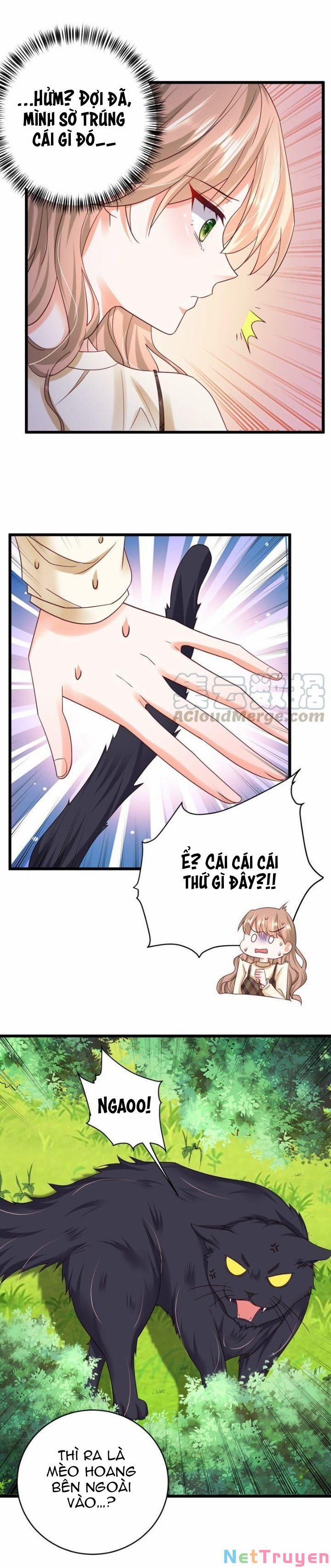 Tổng Tài Phu Nhân Không Muốn Giải Cứu Thế Giới 32 trang 3