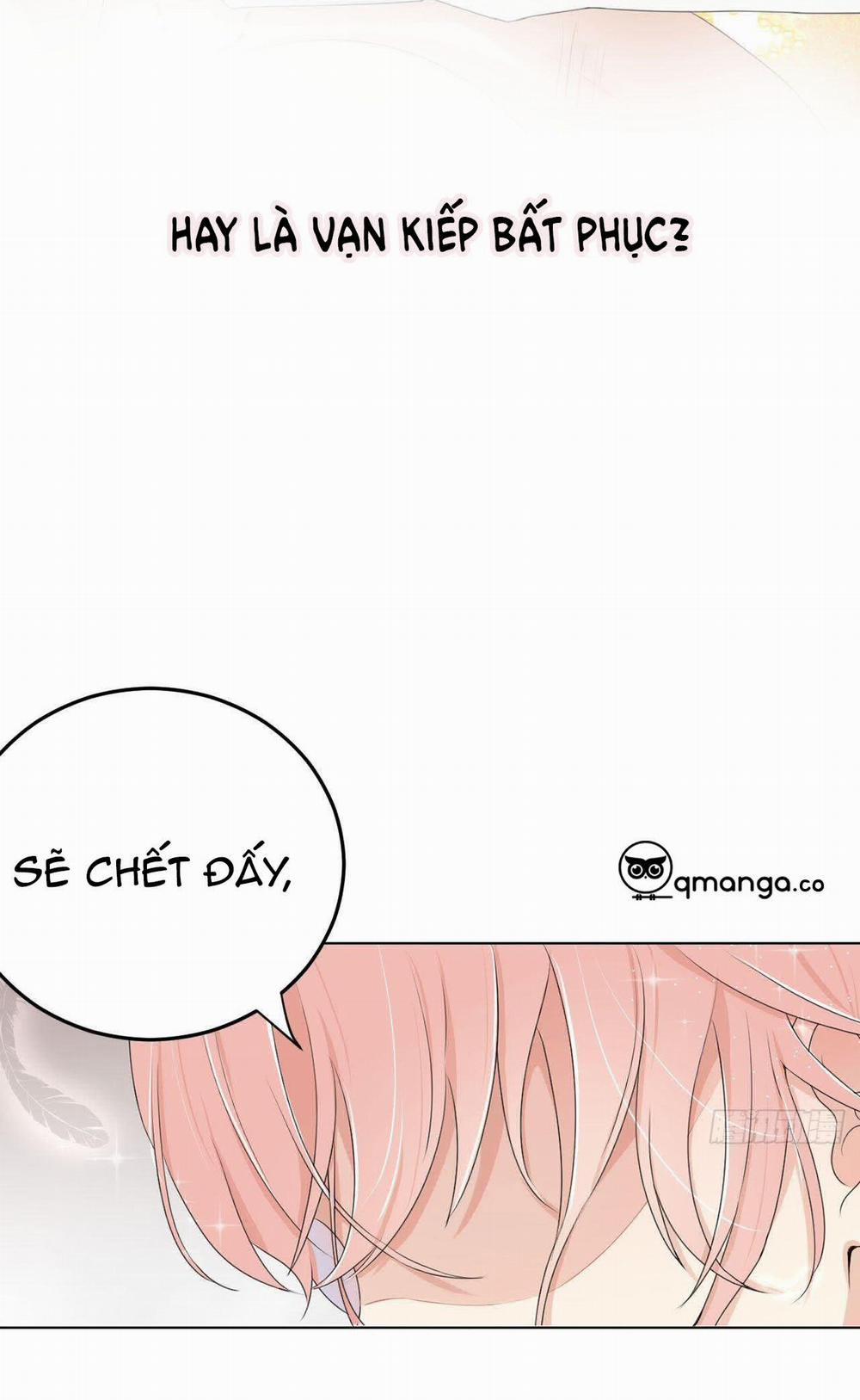 Top Plaything 0 trang 16