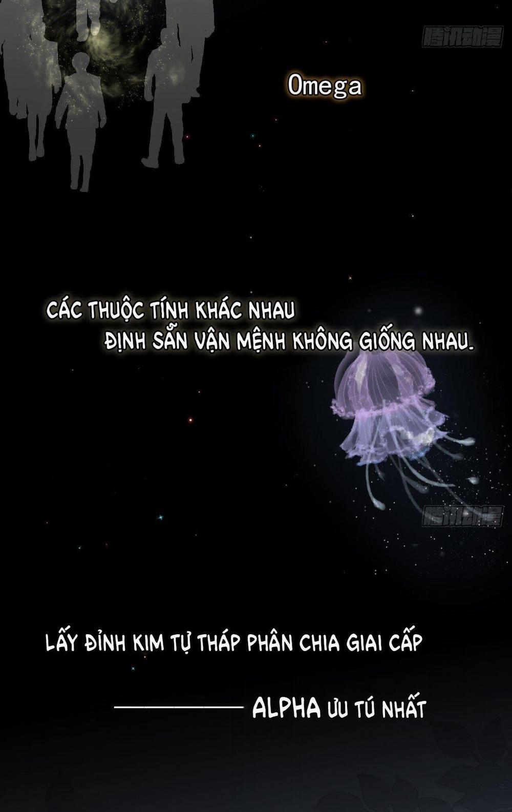 Top Plaything 0 trang 2