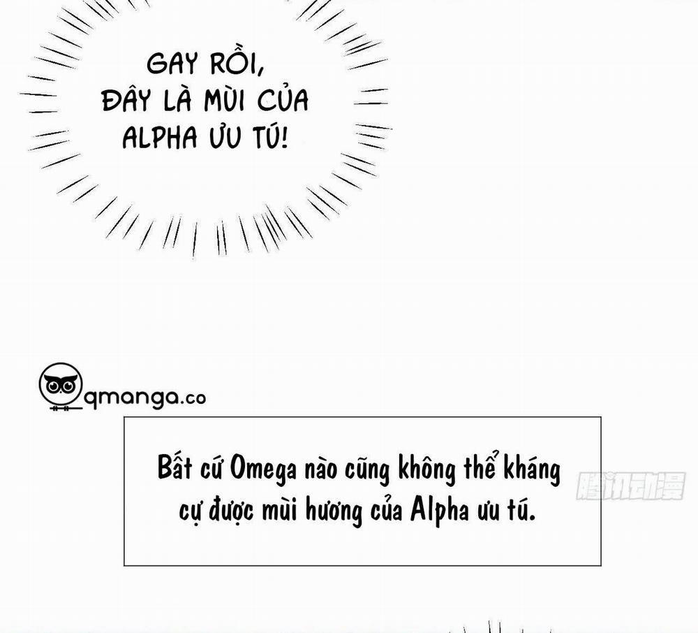 Top Plaything 1 trang 38