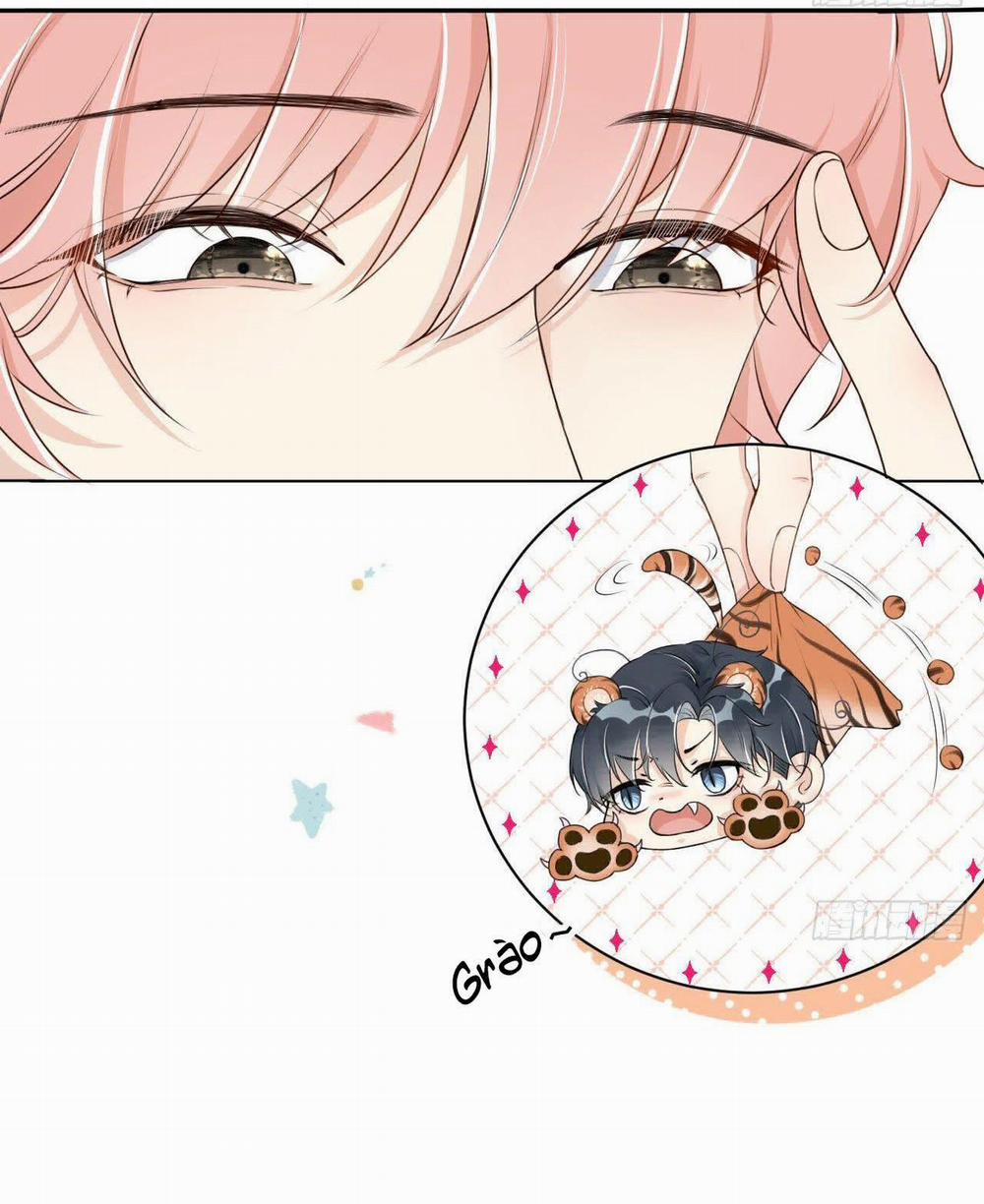 Top Plaything 11 trang 2