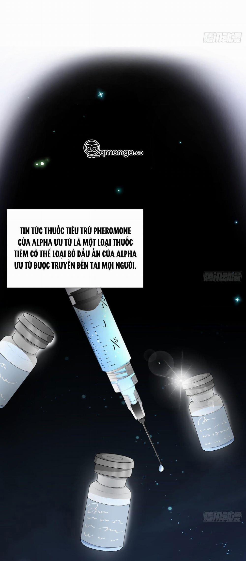 Top Plaything 13 trang 1