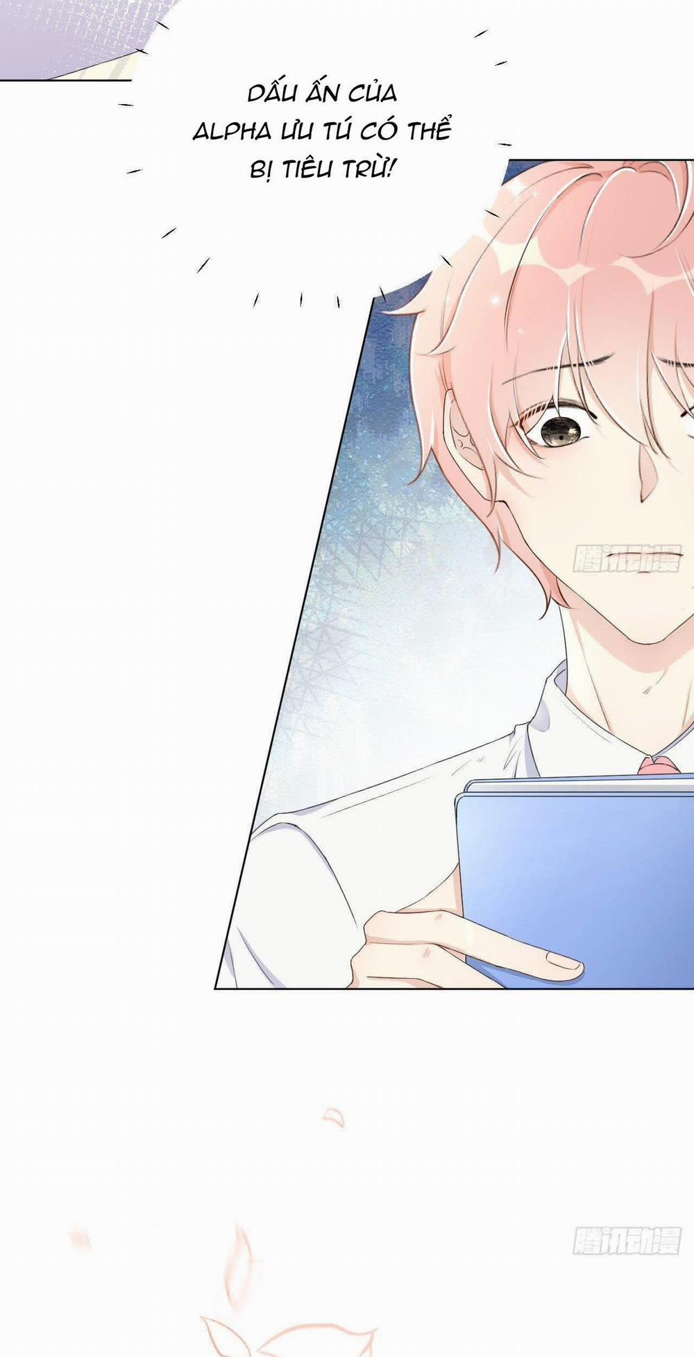 Top Plaything 13 trang 12