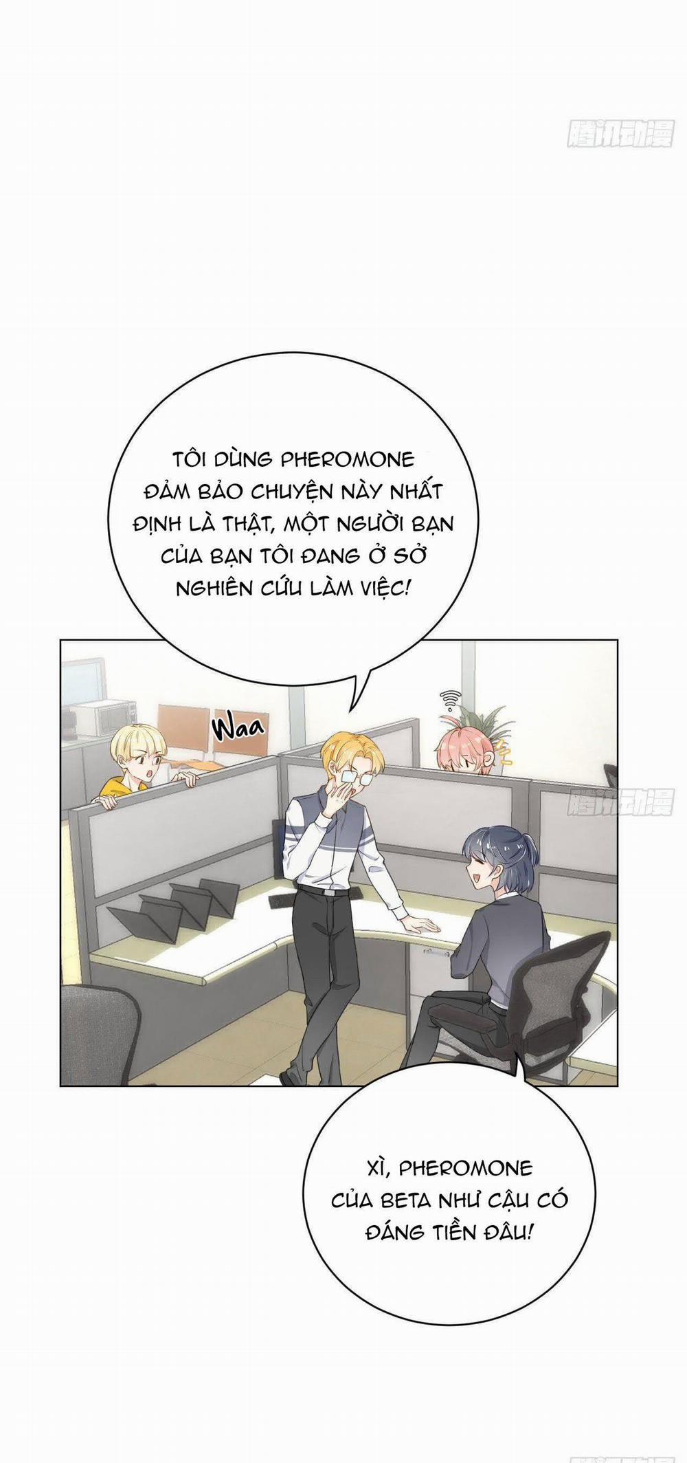 Top Plaything 13 trang 5