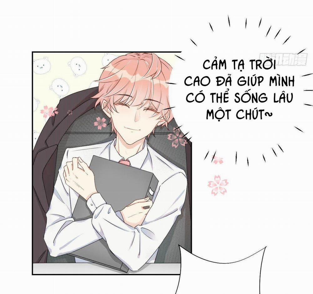 Top Plaything 3 trang 2