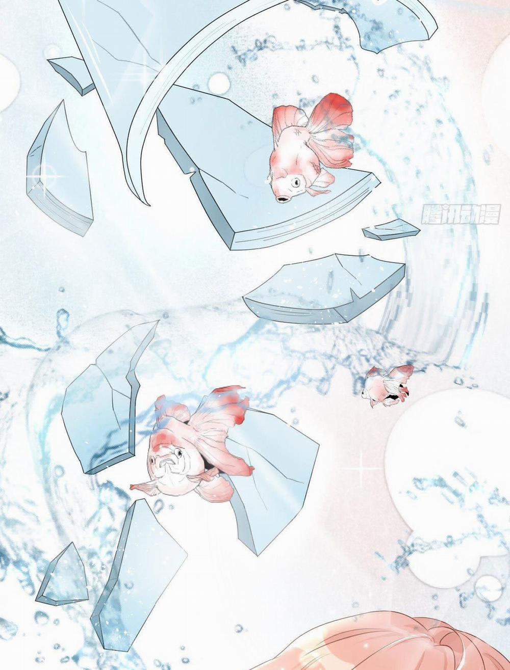 Top Plaything 3 trang 24