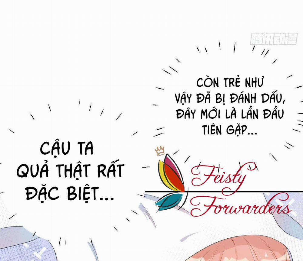 Top Plaything 3 trang 31