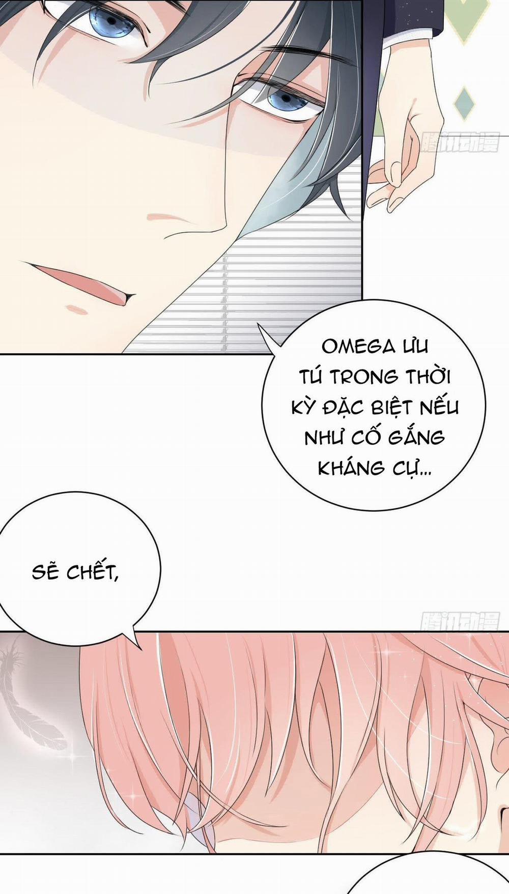 Top Plaything 4 trang 4