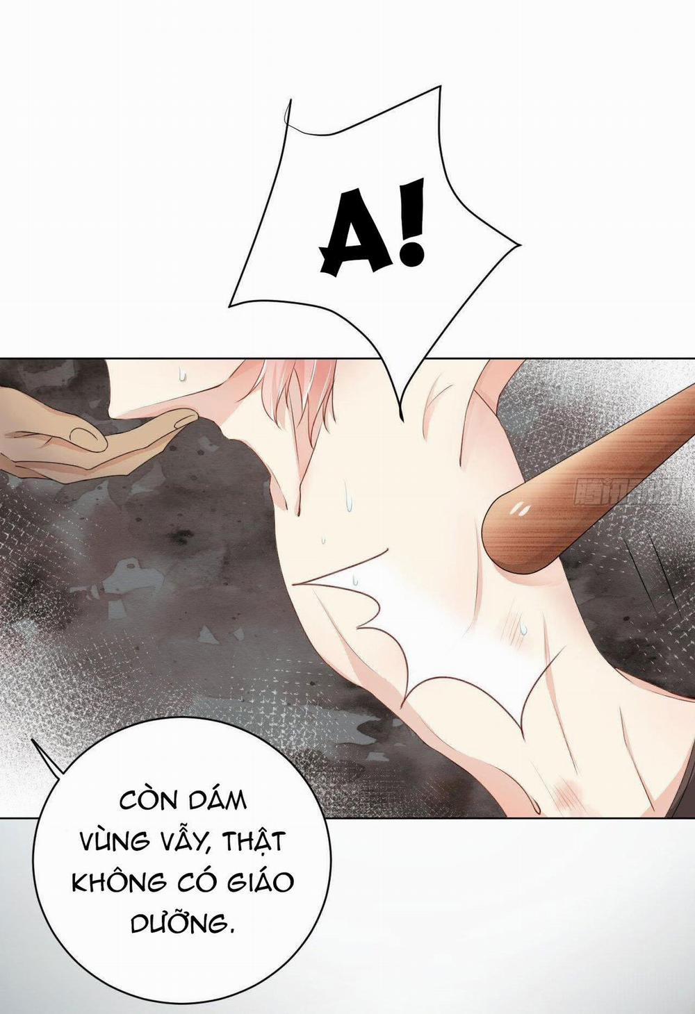 Top Plaything 7 trang 2