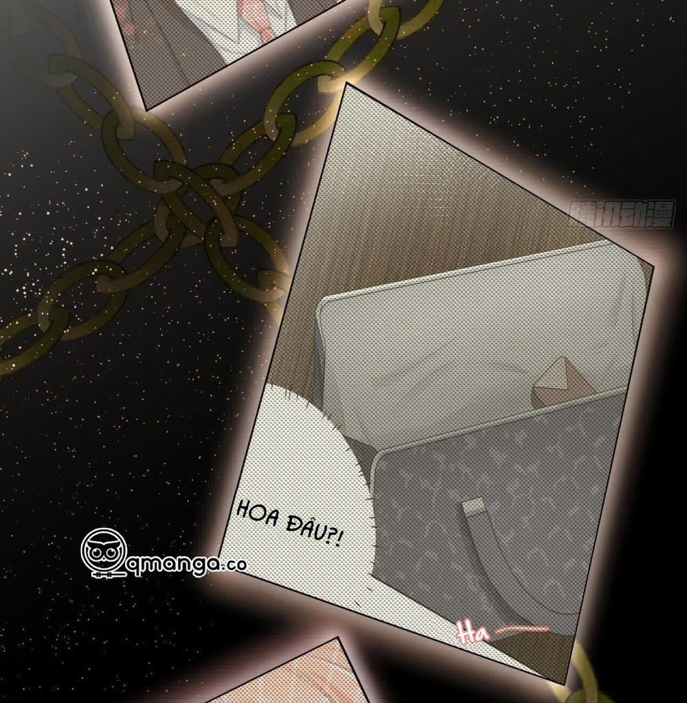 Top Plaything 7 trang 25