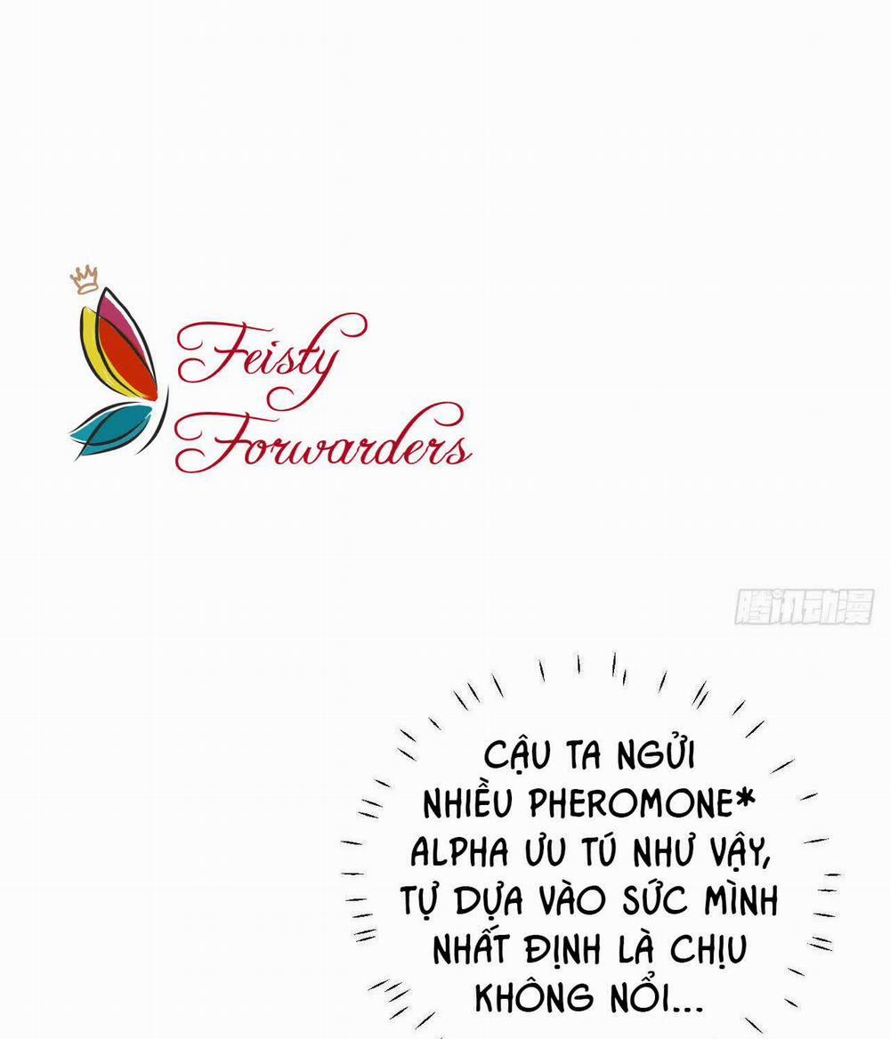 Top Plaything 8 trang 15