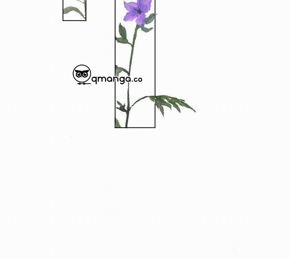 Top Plaything 8 trang 29