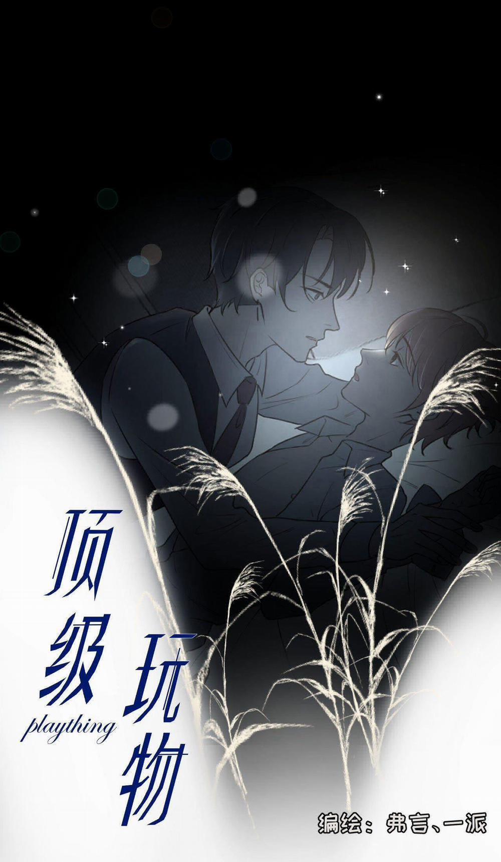 Top Plaything 9 trang 0