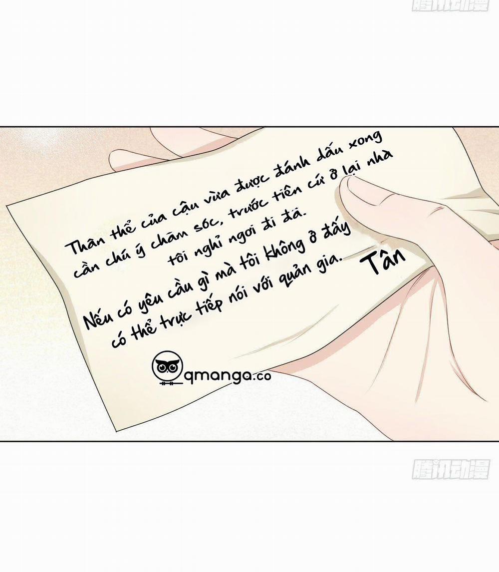 Top Plaything 9 trang 16