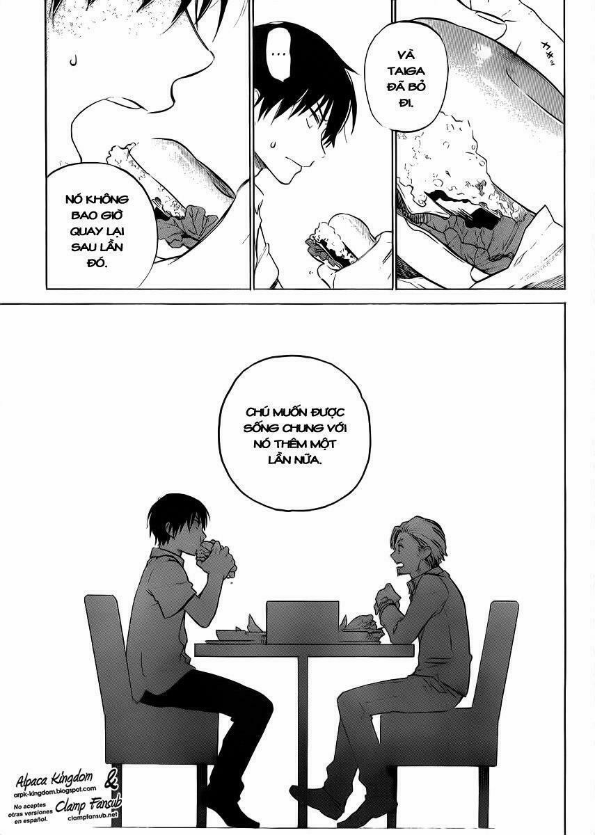 Toradora! 48 trang 19